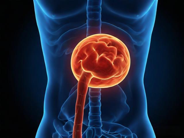 急性硬膜下血肿的成因、危害、预防与处理