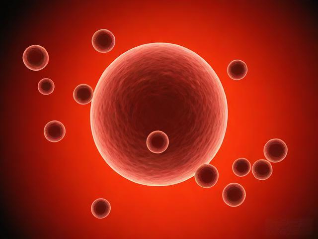 2023拜年：致敬免疫细胞，祝愿新年更健康