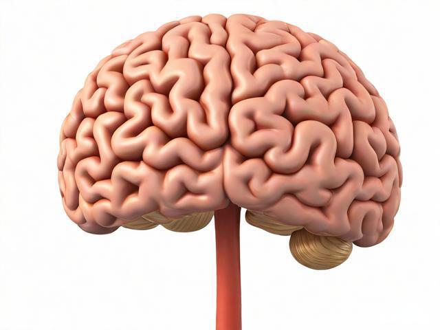 通过饮食降低慢性炎症反应，保护大脑减少痴呆风险