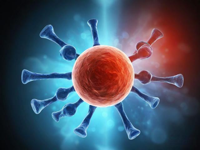 自身免疫性疾病患者患癌风险并非降低