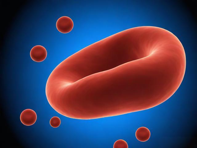 1分钟教你看血常规报告单：白细胞、红细胞、血小板怎么看？