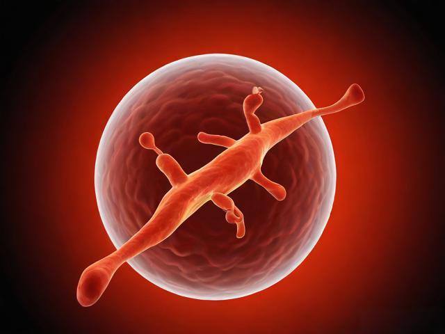 淋巴结无痛无痒却持续增大，这可能是大问题！