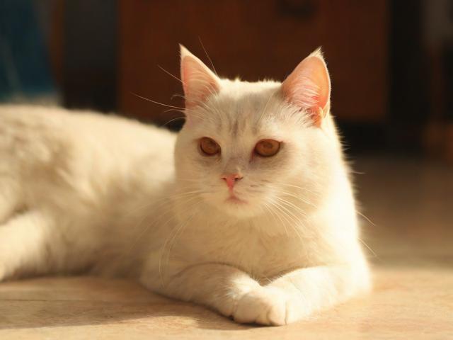 饮料如何影响儿童身高？黄奶奶挑战