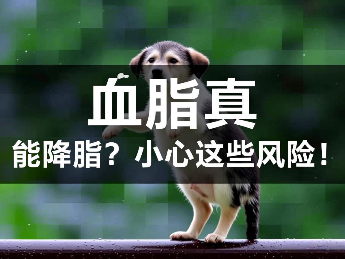 洗血脂真能降脂？小心这些风险！