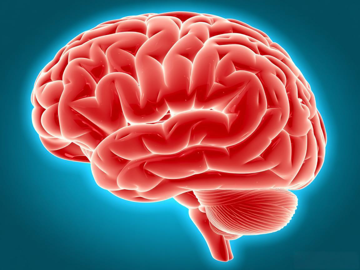 脑供血不足如何检查？常用方法解析