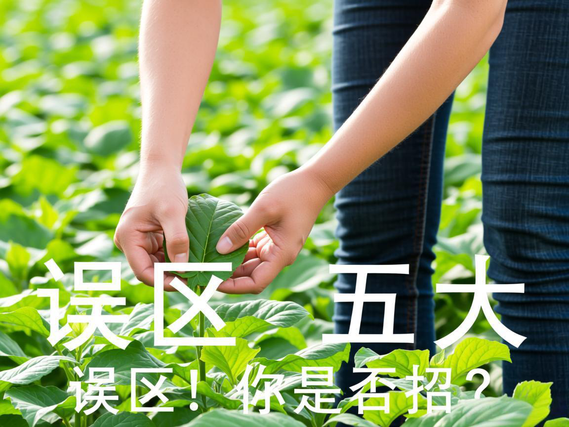 血脂五大误区!你是否中招?