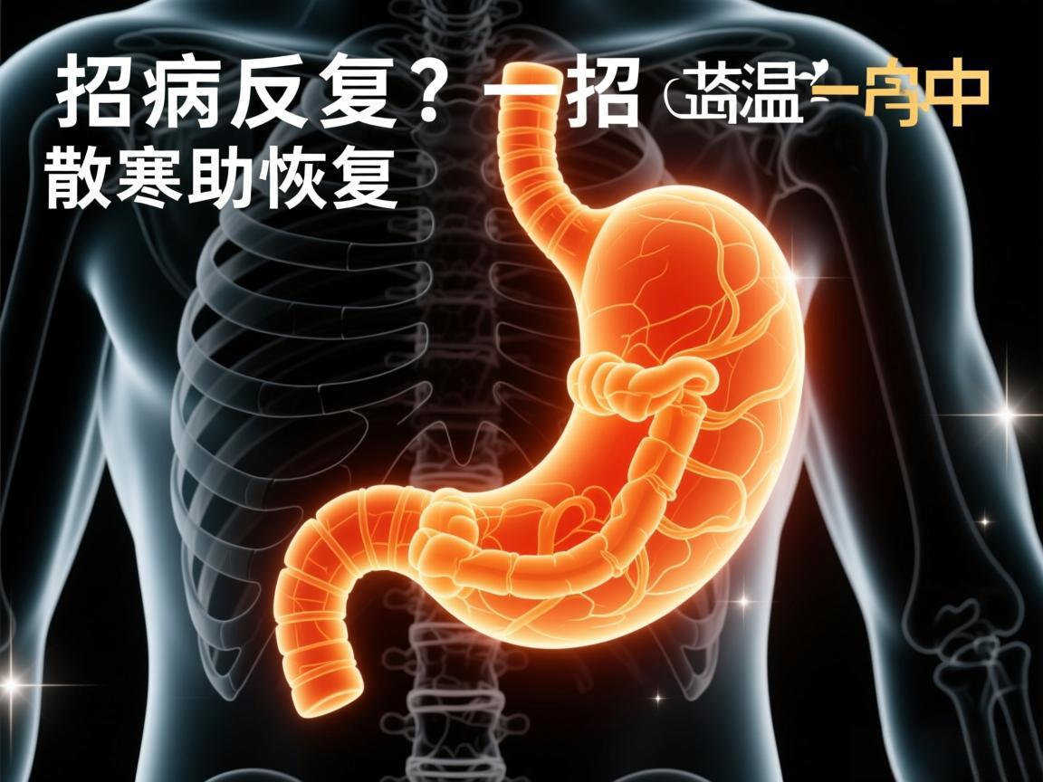 胃病反复?一招温中散寒助恢复